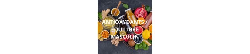 Antioxydants / Équilibre Masculin
