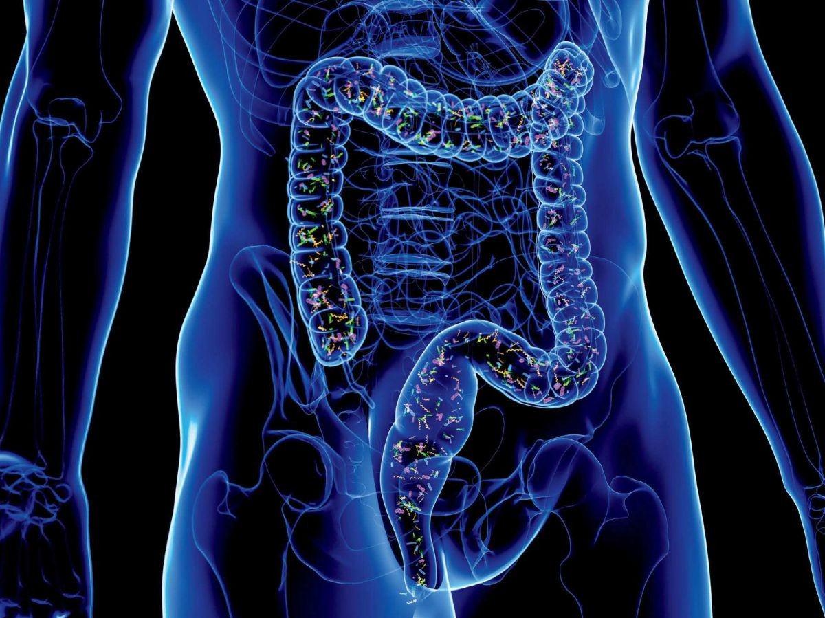 Équilibre Intestinal & Hépatique