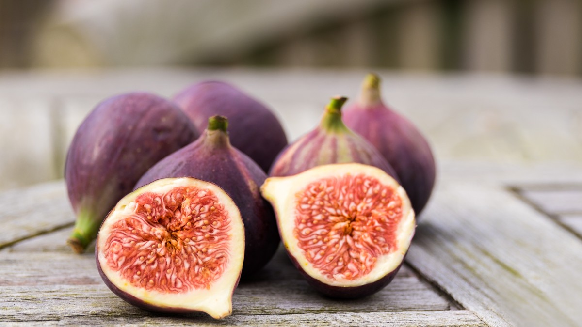 Mélisse, Romarin, Artichaut, Myrtille, Figue